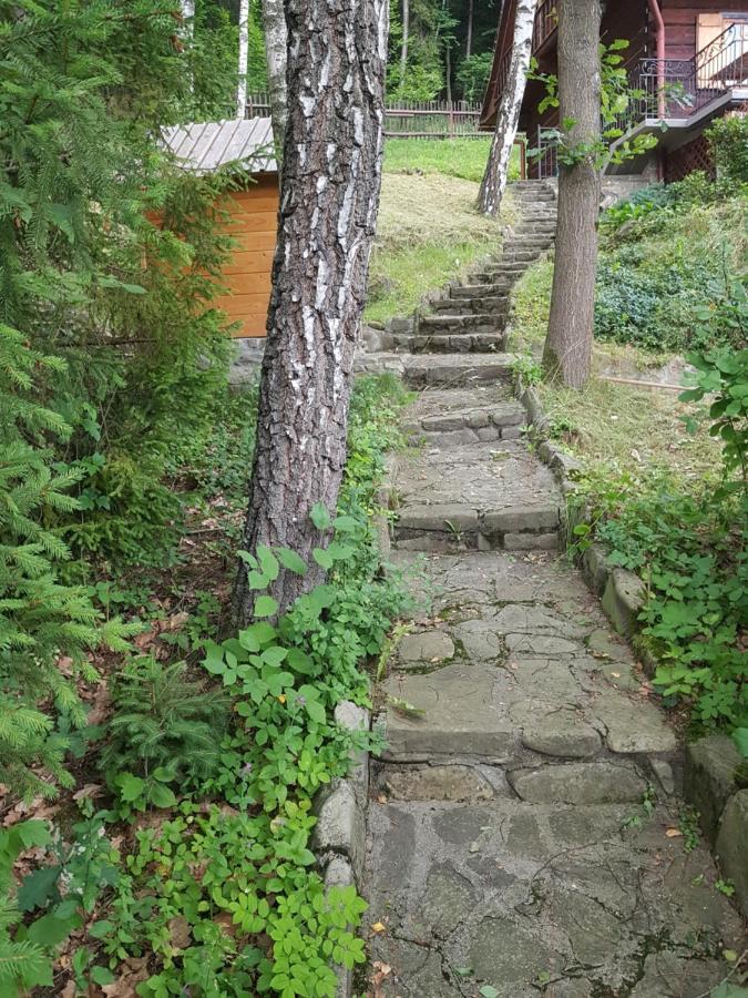 Gniewnik Villa Pcim Exterior photo